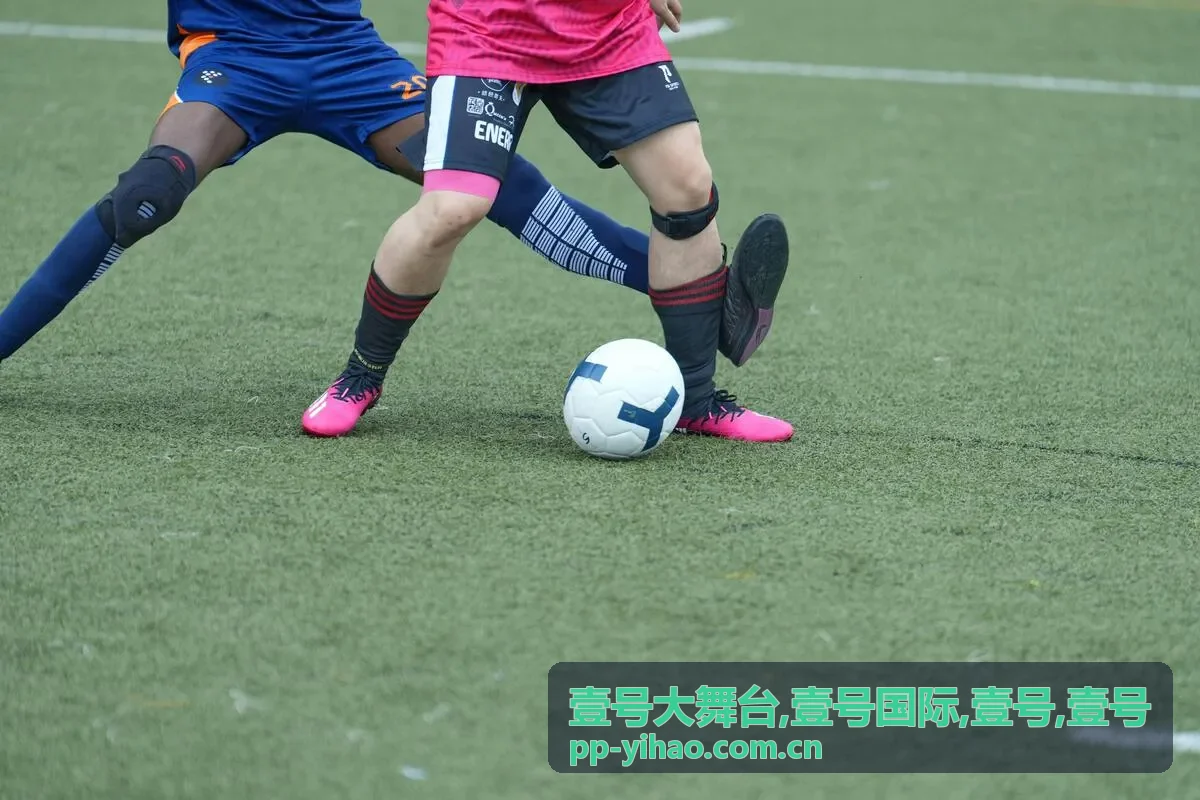 壹号国际企业峰会与商务会议舞台统筹